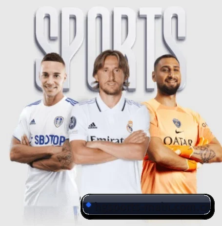 每个板块围绕一个运动项目展开（HGSports）